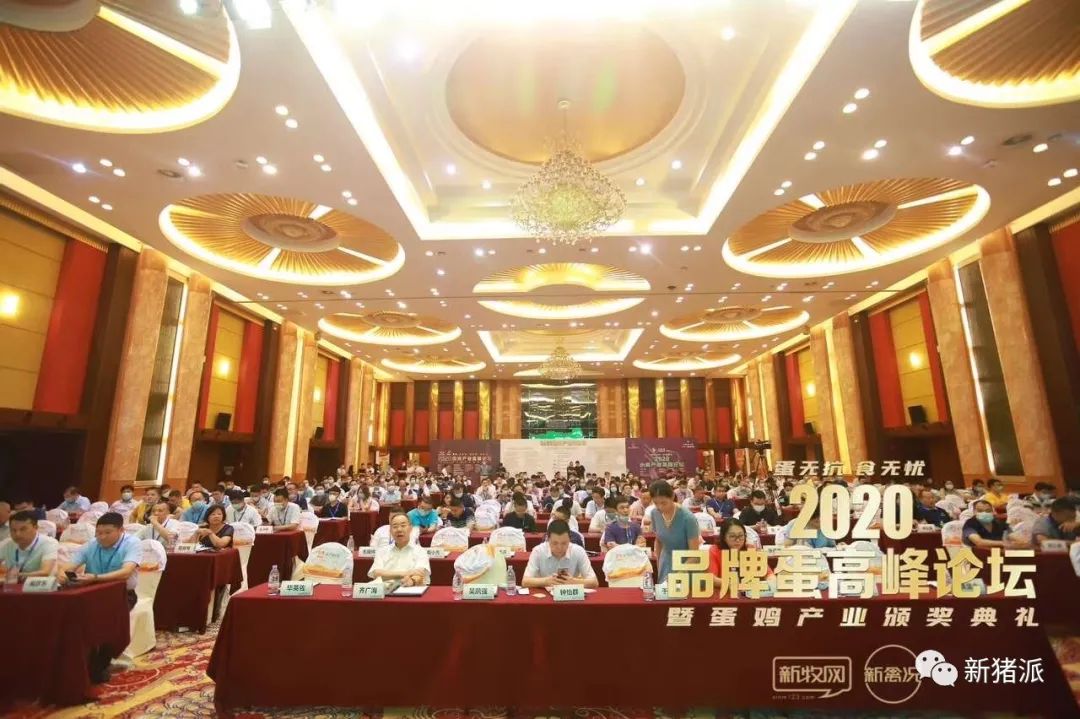 2020年我们竟然见面这么多次?新牧网新禽况&新猪派给您视频拜年了