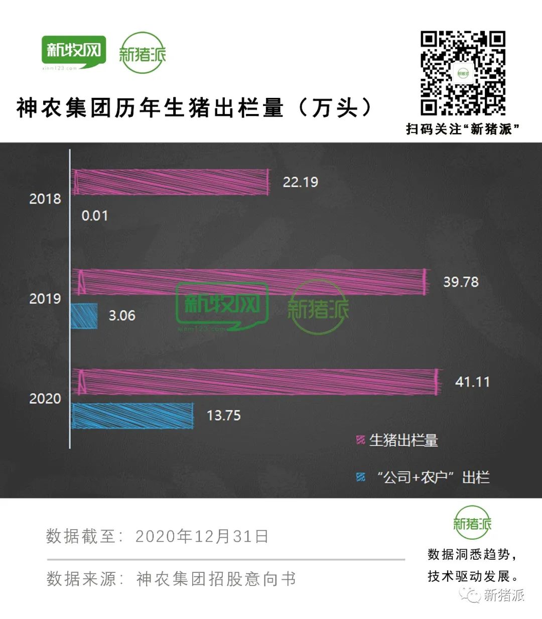 出栏41万头！神农集团拟募资21亿元，新建10大项目150万头产能