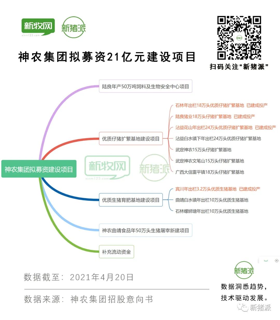 出栏41万头！神农集团拟募资21亿元，新建10大项目150万头产能