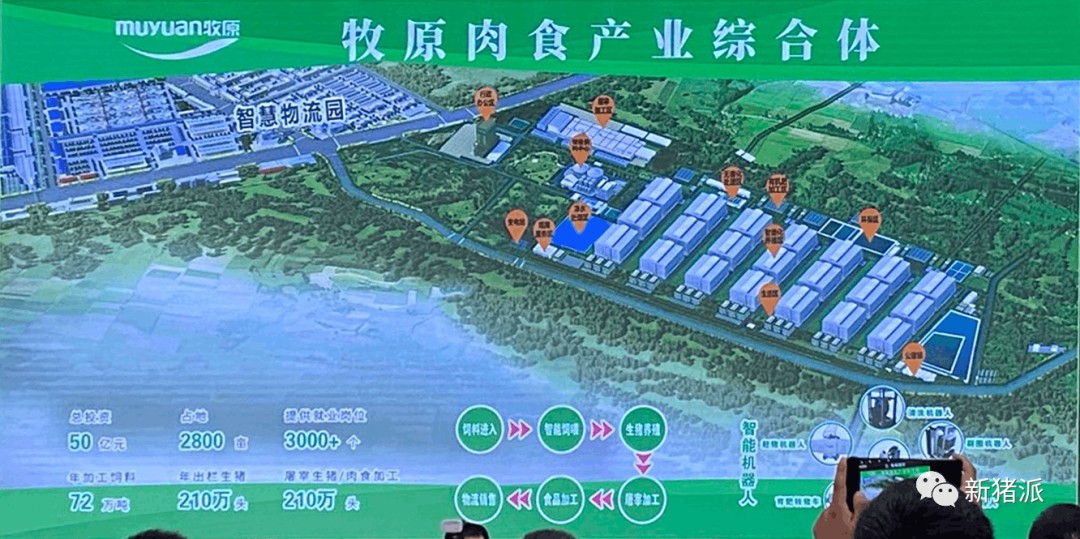 单体出栏210万头!牧原将打造全球最大的生猪养殖基地