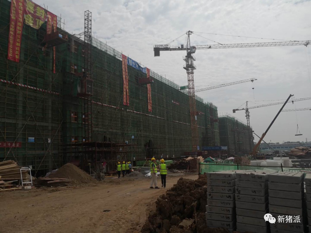 单体出栏210万头!牧原将打造全球最大的生猪养殖基地