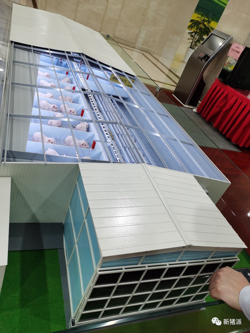 单体出栏210万头!牧原将打造全球最大的生猪养殖基地