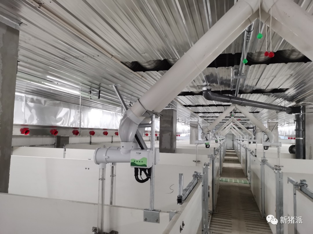 单体出栏210万头!牧原将打造全球最大的生猪养殖基地