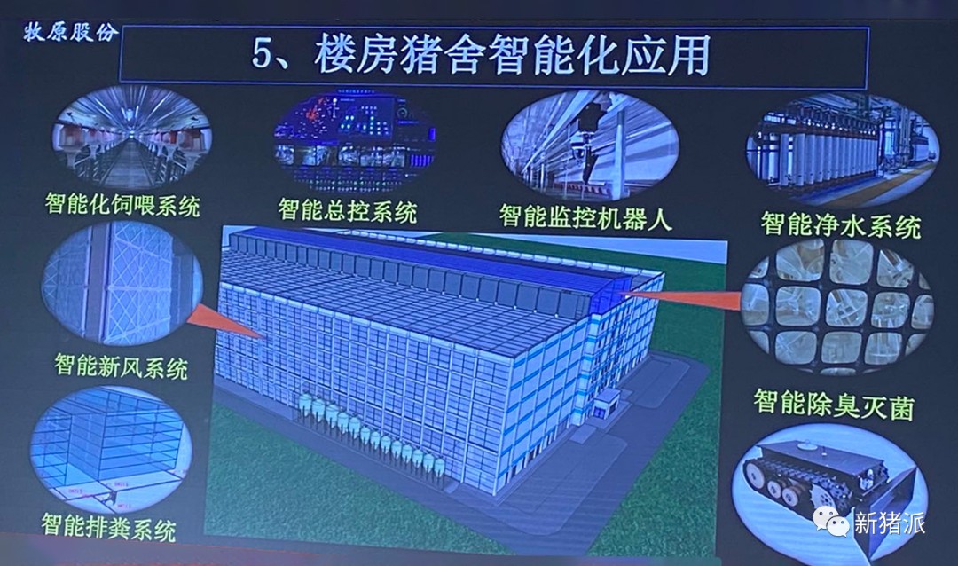 单体出栏210万头!牧原将打造全球最大的生猪养殖基地