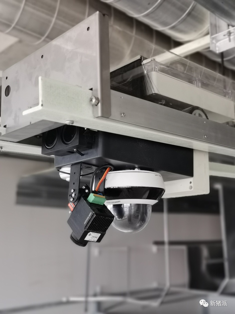 单体出栏210万头!牧原将打造全球最大的生猪养殖基地