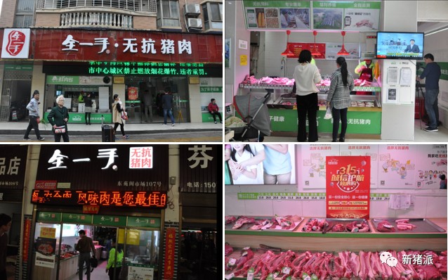 高起点打造原种猪育种体系，九鼎新湘农全力布局饲料+养猪+品牌肉全链条|探寻中国好种猪