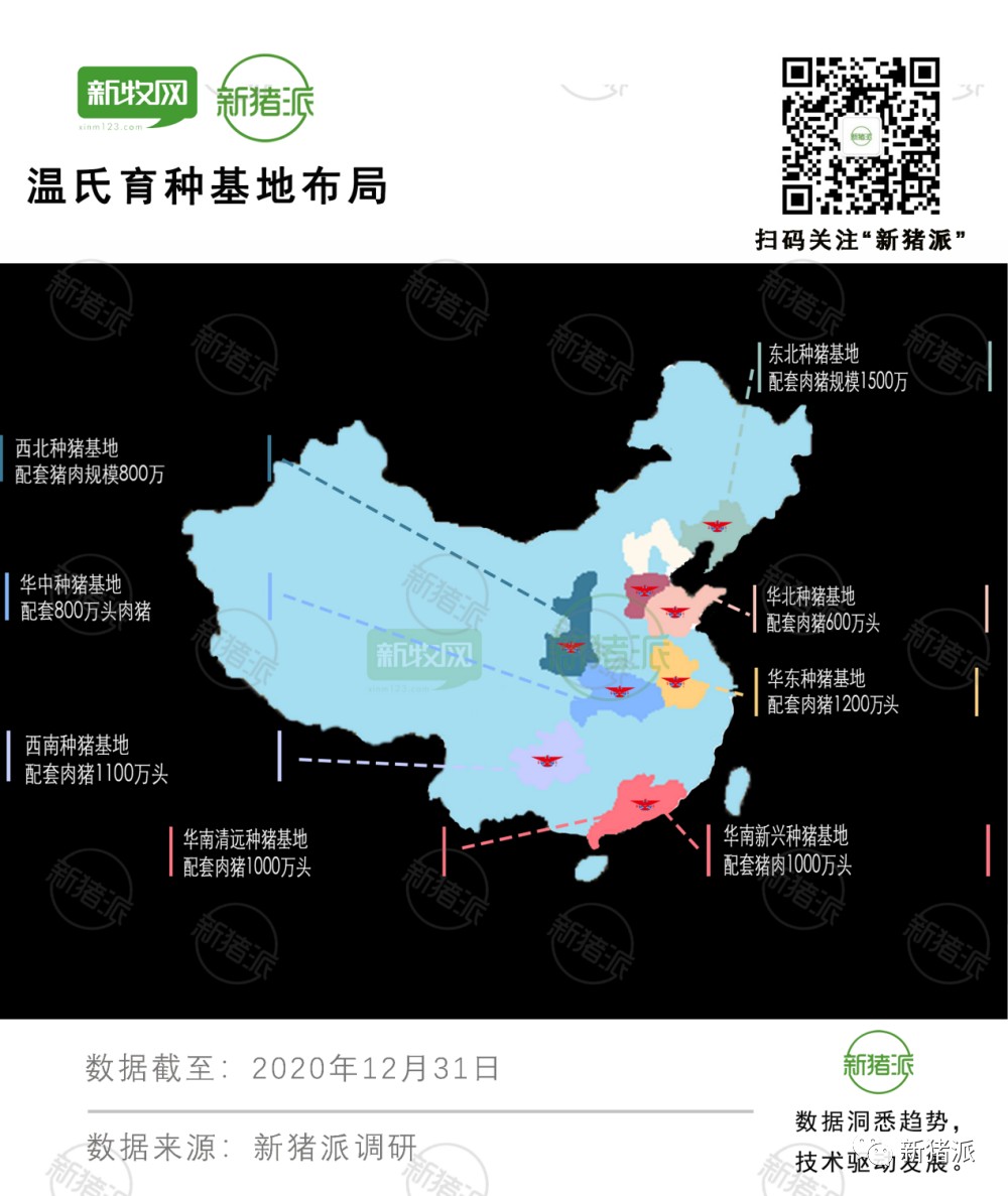 从克隆猪看温氏育种:8大基地1.2万头核心群,具备独立上市能力|探寻中国好种猪