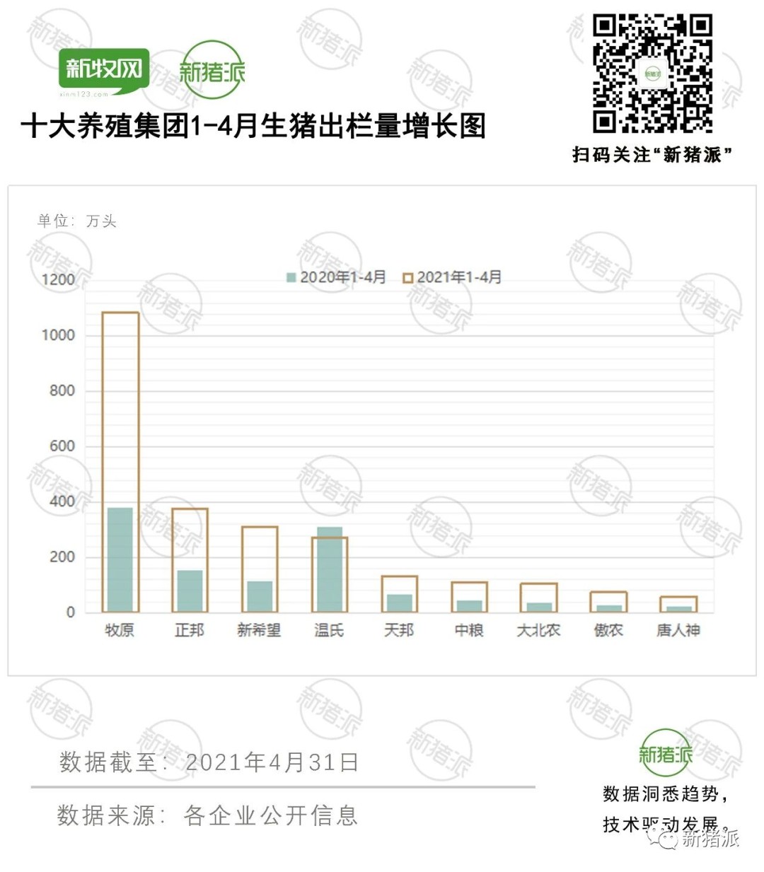 猪价下行,股市频频跌停!天邦、正邦、新希望纷纷增持+回购护盘