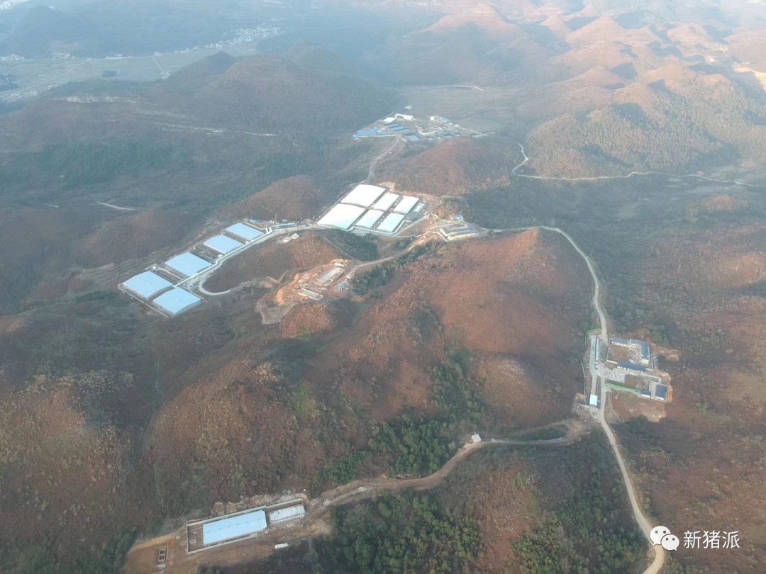 新建万头原种场、80亿布局全产业链!“无老板”的力源集团缔造持续66年盈利神话