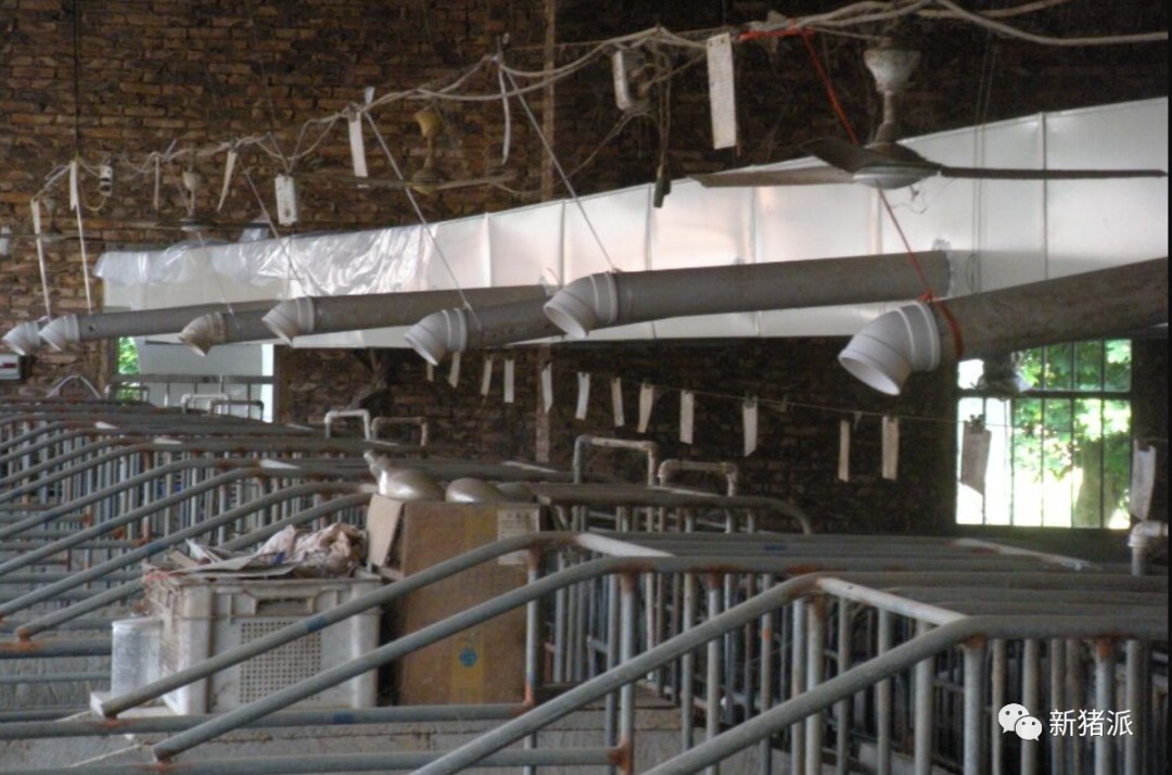 【收藏】楼房猪场配备空气过滤、除臭系统，靶向通风或是最佳方案