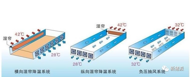 【收藏】楼房猪场配备空气过滤、除臭系统，靶向通风或是最佳方案