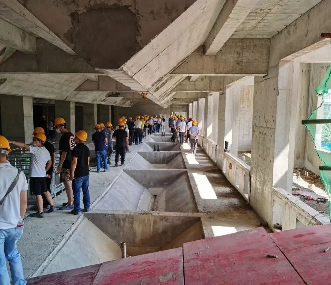 刷新猪场天际线！湖北26层楼房猪场正式封顶，预计9月投产