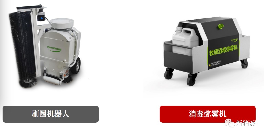 半年出栏1743万头!牧原3600万头目标近在咫尺