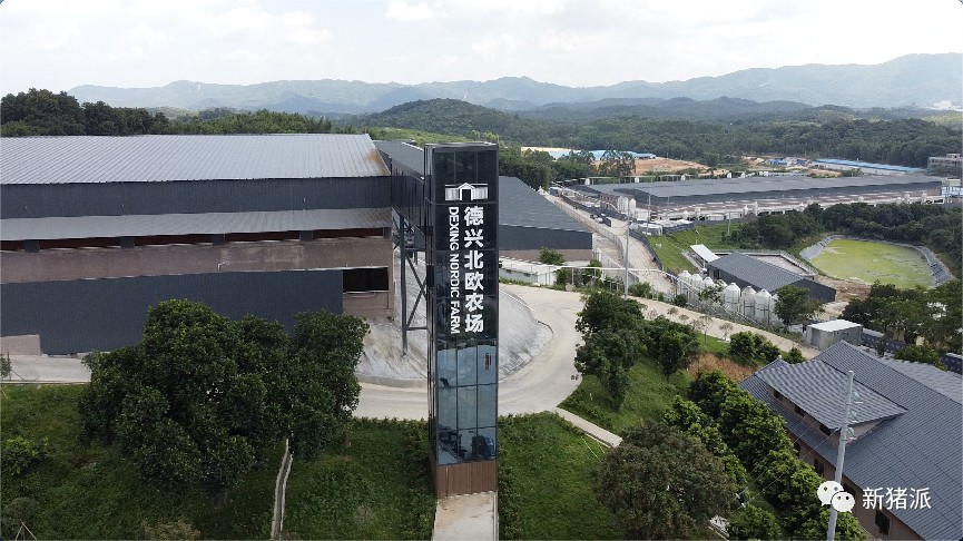 【首播预告】德兴北欧农场10万头生猪养殖项目智能黑科技抢先看