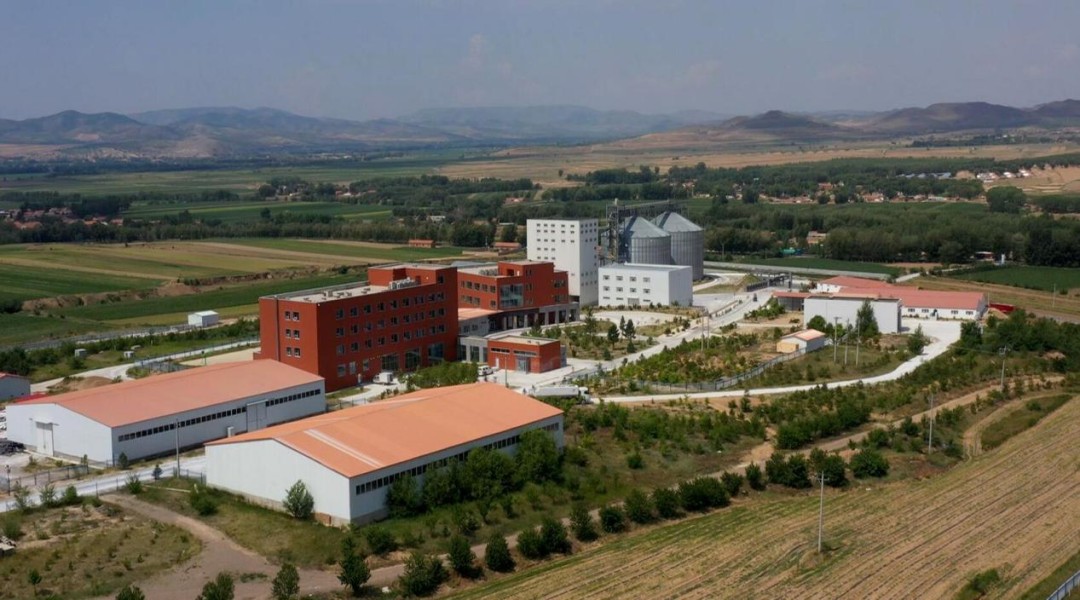 她10年花了6个亿养猪,至今没回本:都把猪养成什么样了?