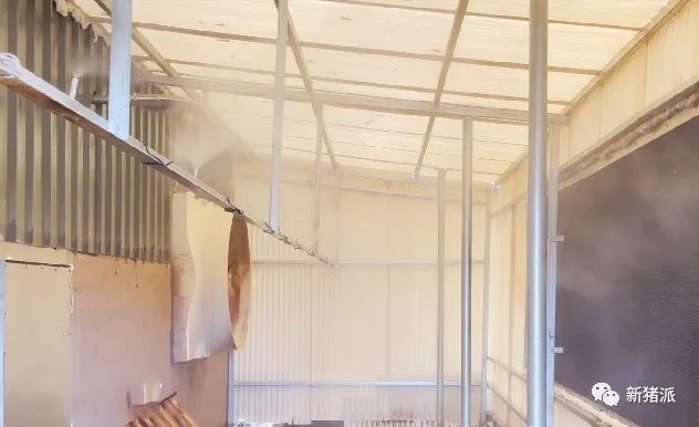 【首播预告】德兴北欧农场10万头生猪养殖项目智能黑科技抢先看