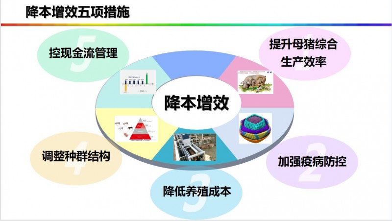 中山大学刘小红教授：活下去！猪价或到2023年6月才回弹