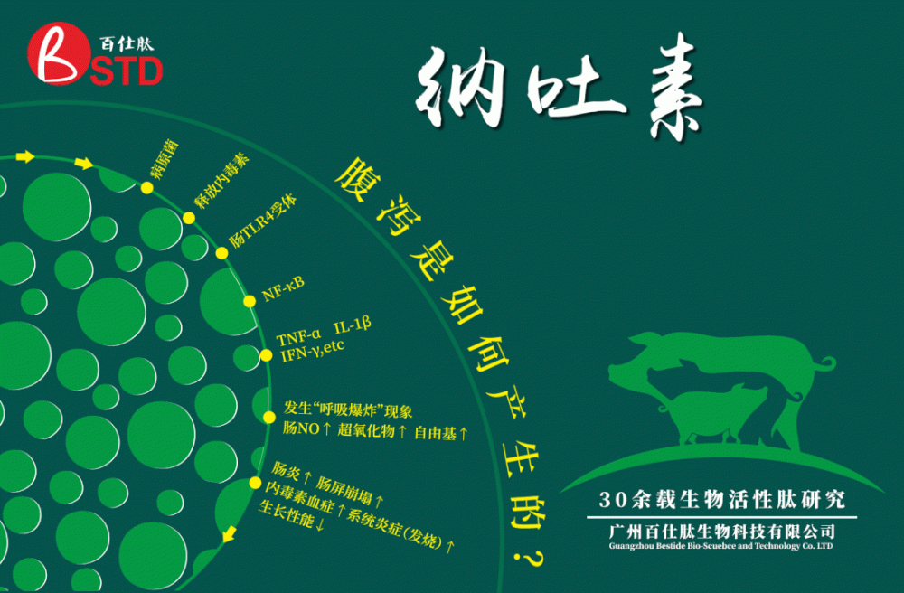 暴雪寒冬,腹泻防控正当时!疾病检测要趁早,抗原、抗体评估不可或缺