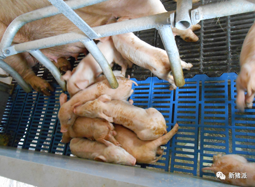 暴雪寒冬,腹泻防控正当时!疾病检测要趁早,抗原、抗体评估不可或缺