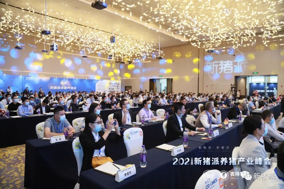 养猪或再亏一年?活下去!逆境之下刘小红、何新强等给出这些“救命”建议