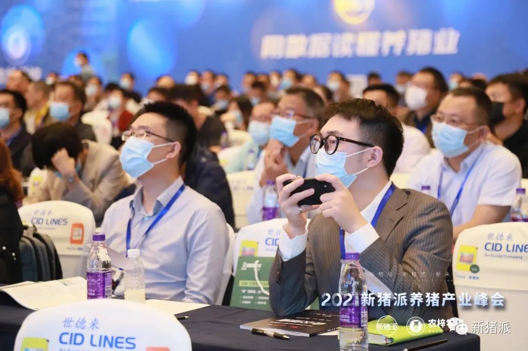 养猪或再亏一年?活下去!逆境之下刘小红、何新强等给出这些“救命”建议