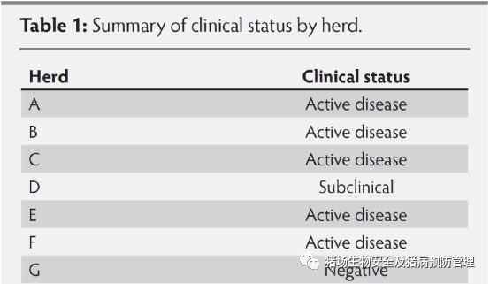 译文摘要：仔猪睾丸处理液与断尾处理液在PRRSV检测中的比较