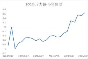 大猪出栏占比明显降低，供应减少或是猪价上涨主因