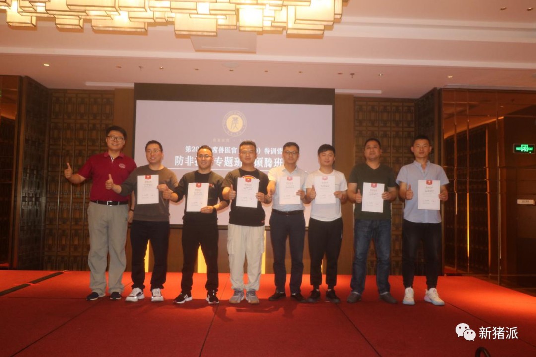 非瘟形势严峻,养猪人压力大、总在半夜哭醒?你可以...