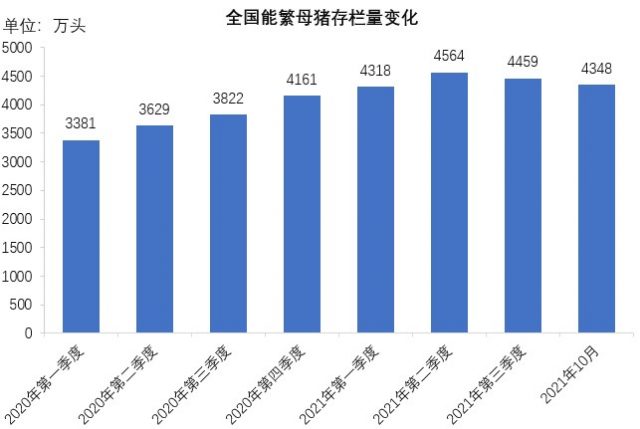 明年3~4月猪周期或触底，转机将在2022年第四季度！