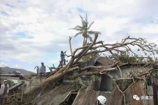 80年难得一遇！冬至节打台风？下周气温或迎来年内最低点