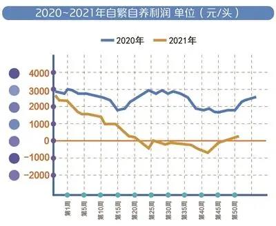 养猪业进入”白银时代“,成本、管理将是猪企未来”主战场“!