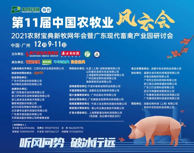 愤怒!两男子明知仔猪感染非瘟,仍跨省贩卖190余头,引发重大动物疫情.....