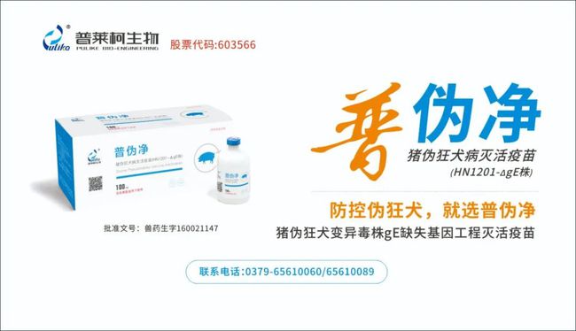 总投资44亿!越秀封开养猪项目正式动工,向1000万头目标进发