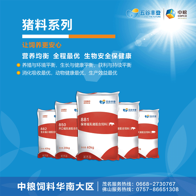 总投资44亿!越秀封开养猪项目正式动工,向1000万头目标进发