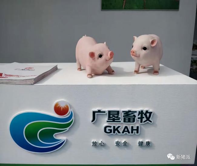 勇肩使命担当,全力稳产保供,广垦畜牧多举措赋能“513”战略落地