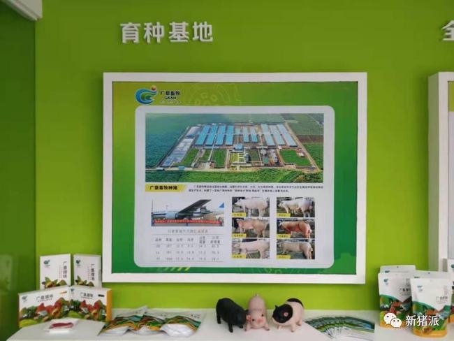 勇肩使命担当,全力稳产保供,广垦畜牧多举措赋能“513”战略落地
