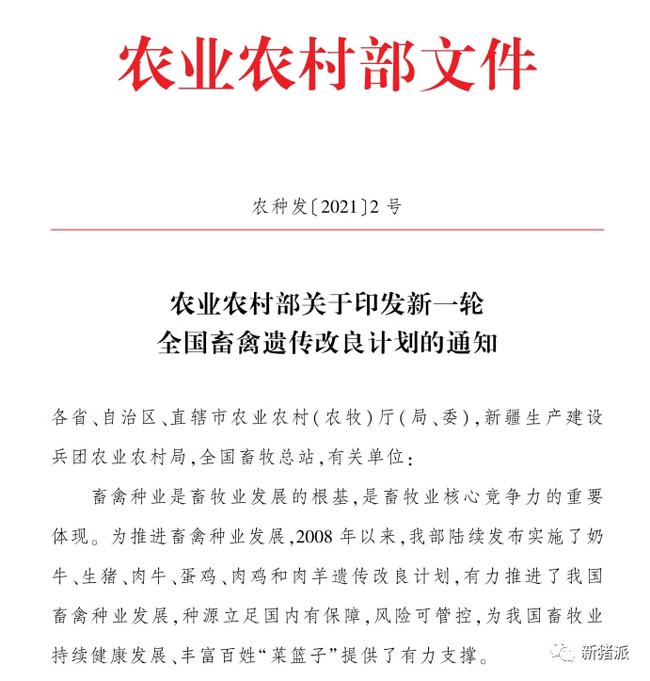 2021猪业十大政策：严打非瘟假疫苗、逆周期调控、猪病净化、畜禽改良…哪个影响你最深？