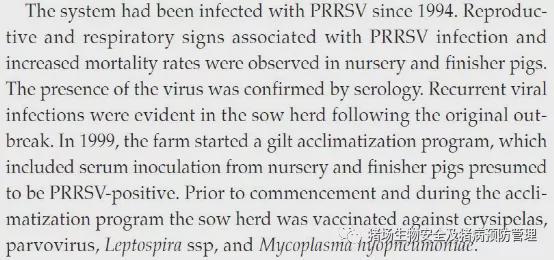 后备母猪蓝耳病血清驯化方案详解