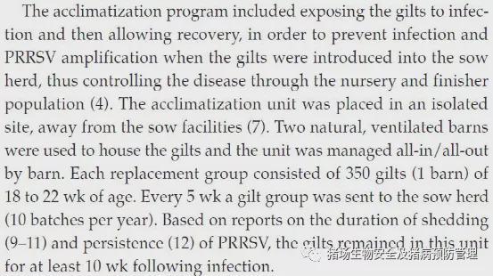 后备母猪蓝耳病血清驯化方案详解