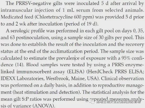 后备母猪蓝耳病血清驯化方案详解