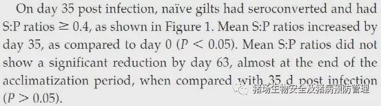 后备母猪蓝耳病血清驯化方案详解