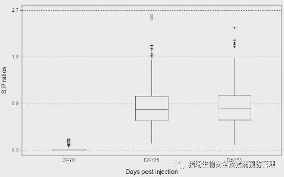 后备母猪蓝耳病血清驯化方案详解