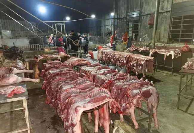 600万天价罚单!福建一男子无证屠宰未检验生猪被重罚