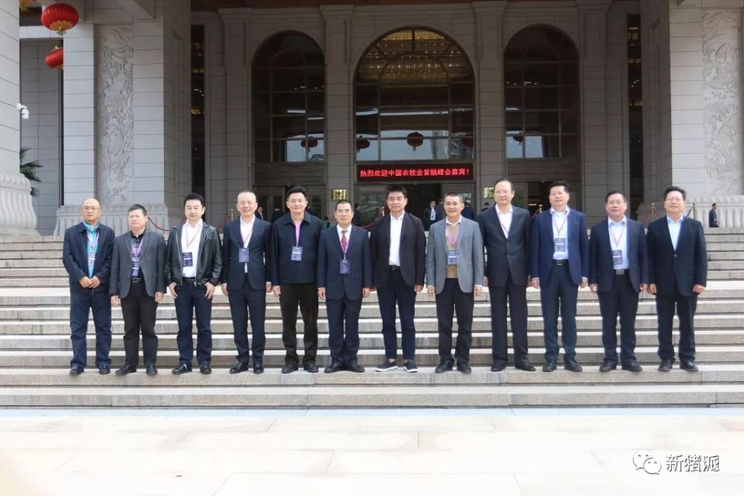 前10月猪料产量暴增50%、玉米大豆进口再创新高！谯仕彦：粮食安全主要压力在饲料粮