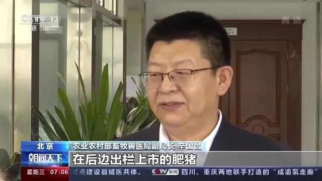 农业农村部|生猪生产惯性增长仍在持续,明年2月猪价或大幅下跌